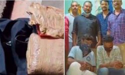 കൊല്ലത്ത് രണ്ടുകോടിയുടെ ഹാഷിഷ് ഓയിലും കഞ്ചാവും പിടികൂടി; മൂന്നുപേര്‍ പിടിയില്‍