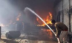 เดชเตเดฒเดพเดธเตเดฑเตเดฑเดฟเดเต เดจเดฟเดฐเตโเดฎเดพเดฃ เดซเดพเดเตเดเดฑเดฟเดฏเดฟเดฒเตโ เดธเตเดซเตเดเดจเด: เดจเดพเดฒเต เดฎเดฐเดฃเด; เดจเดพเดฒเต เดชเตเดฐเตโเดเตเดเต เดชเดฐเดฟเดเตเดเต เดชเตเดฒเดพเดธเตเดฑเตเดฑเดฟเดเต เดจเดฟเดฐเตโเดฎเดพเดฃ เดซเดพเดเตเดเดฑเดฟเดฏเดฟเดฒเตโ เดธเตเดซเตเดเดจเด: เดจเดพเดฒเต เดฎเดฐเดฃเด; เดจเดพเดฒเต เดชเตเดฐเตโเดเตเดเต เดชเดฐเดฟเดเตเดเต