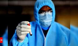 കൊവിഡ് ഭേദമായവര് മൂന്ന് മാസത്തേക്ക് വീണ്ടും പരിശോധന നടത്തേണ്ടെന്ന് സര്ക്കാര് കൊവിഡ് ഭേദമായവര് മൂന്ന് മാസത്തേക്ക് വീണ്ടും പരിശോധന നടത്തേണ്ടെന്ന് സര്ക്കാര്