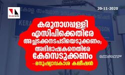 കരുനാഗപ്പള്ളി എസിപിക്കെതിരേ അച്ചടക്കനടപടിയെടുക്കണം; അഭിഭാഷകനെതിരേ കേസെടുക്കണം-മനുഷ്യാവകാശ കമ്മീഷന്‍