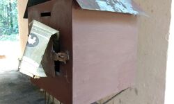 മണ്ണാർമല ശ്രീകൃഷ്ണസ്വാമി ക്ഷേത്രത്തിൽ മോഷണം; വിഗ്രഹം കവർന്നു