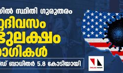 അമേരിക്കയില്‍ സ്ഥിതി ഗുരുതരം; ഒറ്റദിവസം രണ്ടുലക്ഷം രോഗികള്‍, ലോകത്ത് കൊവിഡ് ബാധിതര്‍ 5.8 കോടിയായി