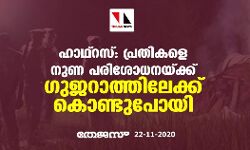 ഹാഥ്‌റസ്: പ്രതികളെ നുണ പരിശോധനയ്ക്ക് ഗുജറാത്തിലേക്ക് കൊണ്ടുപോയി
