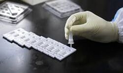 เดฐเดพเดเตเดฏเดคเตเดคเต 24 เดฎเดฃเดฟเดเตเดเตเดฑเดฟเดจเดฟเดเต 44,059 เดชเตเดฐเตโเดเตเดเต เดเตเดตเดฟเดกเต; 511 เดฎเดฐเดฃเด, 41,024 เดชเตเดฐเตโเดเตเดเต เดฐเตเดเดฎเตเดเตเดคเดฟ เดฐเดพเดเตเดฏเดคเตเดคเต 24 เดฎเดฃเดฟเดเตเดเตเดฑเดฟเดจเดฟเดเต 44,059 เดชเตเดฐเตโเดเตเดเต เดเตเดตเดฟเดกเต; 511 เดฎเดฐเดฃเด, 41,024 เดชเตเดฐเตโเดเตเดเต เดฐเตเดเดฎเตเดเตเดคเดฟ