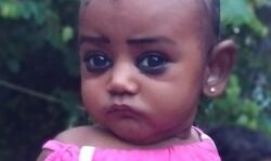 കനാലില് വഴുതിവീണ് മുത്തശ്ശിയും പേരക്കുട്ടിയും മരിച്ചു കനാലില് വഴുതിവീണ് മുത്തശ്ശിയും പേരക്കുട്ടിയും മരിച്ചു