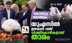 കോണും കോബും : യുഎസില് ഇപ്പോള് രണ്ട് ടര്ക്കികോഴികളാണ് താരം കോണും കോബും : യുഎസില് ഇപ്പോള് രണ്ട് ടര്ക്കികോഴികളാണ് താരം