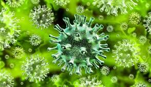 തിരുവനന്തപുരത്ത് ഇന്ന് 262 പേര്ക്കു കൂടി കൊവിഡ് സ്ഥിരീകരിച്ചു തിരുവനന്തപുരത്ത് ഇന്ന് 262 പേര്ക്കു കൂടി കൊവിഡ് സ്ഥിരീകരിച്ചു