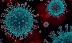 കൊവിഡ് 19: മലപ്പുറം ജില്ലയില്‍ 612 പേര്‍ക്ക് രോഗബാധ; 779 പേര്‍ക്ക് രോഗമുക്തി