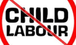 ബാലവേല: കര്ശന നടപടി സ്വീകരിക്കും ബാലവേല: കര്ശന നടപടി സ്വീകരിക്കും