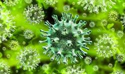 തിരുവനന്തപുരത്ത് ഇന്ന് 262 പേര്ക്കു കൂടി കൊവിഡ് സ്ഥിരീകരിച്ചു തിരുവനന്തപുരത്ത് ഇന്ന് 262 പേര്ക്കു കൂടി കൊവിഡ് സ്ഥിരീകരിച്ചു