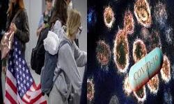 കഴിഞ്ഞ 24 മണിക്കൂറിനിടെ അമേരിക്കയില് 135,166 പേര്ക്ക് കൊവിഡ്; 1,135 മരണം കഴിഞ്ഞ 24 മണിക്കൂറിനിടെ അമേരിക്കയില് 135,166 പേര്ക്ക് കൊവിഡ്; 1,135 മരണം