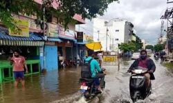 നിവാര്‍ ചുഴലിക്കാറ്റ്: നാല് മരണം; മരിച്ചവരുടെ കുടുംബങ്ങള്‍ക്ക് 10 ലക്ഷം ധനസഹായം പ്രഖ്യാപിച്ച് തമിഴ്‌നാട്