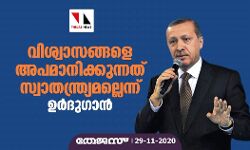 വിശ്വാസങ്ങളെ അപമാനിക്കുന്നത് സ്വാതന്ത്ര്യമല്ലെന്ന് ഉര്‍ദുഗാന്‍
