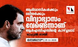 ആദിവാസികള്‍ക്കും ദലിതര്‍ക്കും വിദ്യാഭ്യാസം വേണ്ടെന്നാണ് ആര്‍എസിഎസിന്റെ കാഴ്ച്ചപ്പാട്: രാഹുല്‍ ഗാന്ധി
