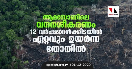 ആമസോണിലെ വനനശീകരണം 12 വര്ഷങ്ങള്ക്കിടയില് ഏറ്റവും ഉയര്ന്ന തോതില് ആമസോണിലെ വനനശീകരണം 12 വര്ഷങ്ങള്ക്കിടയില് ഏറ്റവും ഉയര്ന്ന തോതില്