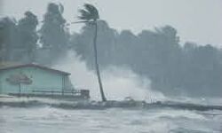 เดจเตเดฏเตเดจเดฎเดฐเตโเดฆเด เดเดจเตเดจเต เดเตเดดเดฒเดฟเดเตเดเดพเดฑเตเดฑเดพเดตเตเด; เด
เดคเตเดต เดเดพเดเตเดฐเดคเดฏเตเดฎเดพเดฏเดฟ เดเตเดฐเดณเด เดจเตเดฏเตเดจเดฎเดฐเตโเดฆเด เดเดจเตเดจเต เดเตเดดเดฒเดฟเดเตเดเดพเดฑเตเดฑเดพเดตเตเด; เด
เดคเตเดต เดเดพเดเตเดฐเดคเดฏเตเดฎเดพเดฏเดฟ เดเตเดฐเดณเด