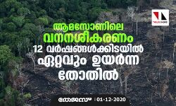 ആമസോണിലെ വനനശീകരണം 12 വര്ഷങ്ങള്ക്കിടയില് ഏറ്റവും ഉയര്ന്ന തോതില് ആമസോണിലെ വനനശീകരണം 12 വര്ഷങ്ങള്ക്കിടയില് ഏറ്റവും ഉയര്ന്ന തോതില്