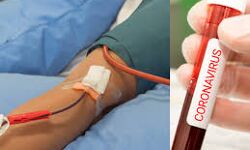 പ്ലാസ്മ തെറാപ്പി; സംസ്ഥാനത്ത് മാര്ഗനിര്ദേശങ്ങള് പുതുക്കിയതായി ആരോഗ്യ വകുപ്പ് പ്ലാസ്മ തെറാപ്പി; സംസ്ഥാനത്ത് മാര്ഗനിര്ദേശങ്ങള് പുതുക്കിയതായി ആരോഗ്യ വകുപ്പ്