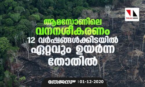 ആമസോണിലെ വനനശീകരണം 12 വര്‍ഷങ്ങള്‍ക്കിടയില്‍ ഏറ്റവും ഉയര്‍ന്ന തോതില്‍