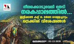 നീലക്കൊടുവേലി തേടി നരകപ്പാലത്തില്‍...