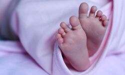 സര്‍ക്കാര്‍ ആശുപത്രിയിയില്‍ നാലു ദിവസത്തിനിടെ എട്ടു നവജാത ശിശുക്കള്‍ മരിച്ചു; അന്വേഷണത്തിന് ഉത്തരവിട്ട് മധ്യ പ്രദേശ് സര്‍ക്കാര്‍