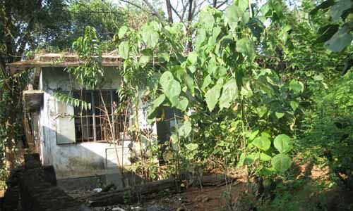 മാളയിലെ അടച്ചുപൂട്ടിയ പട്ടികജാതി കൈത്തറി നെയ്ത്ത് സഹകരണ സംഘം കെട്ടിടം പുനഃരുദ്ധാരണത്തിന് നടപടിയായില്ല മാളയിലെ അടച്ചുപൂട്ടിയ പട്ടികജാതി കൈത്തറി നെയ്ത്ത് സഹകരണ സംഘം കെട്ടിടം പുനഃരുദ്ധാരണത്തിന് നടപടിയായില്ല