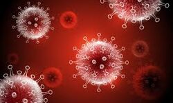 കൊവിഡ് 19: മലപ്പുറം ജില്ലയില് ഇന്ന് 714 പേര്ക്ക് രോഗബാധ; 764 പേര്ക്ക് രോഗമുക്തി കൊവിഡ് 19: മലപ്പുറം ജില്ലയില് ഇന്ന് 714 പേര്ക്ക് രോഗബാധ; 764 പേര്ക്ക് രോഗമുക്തി