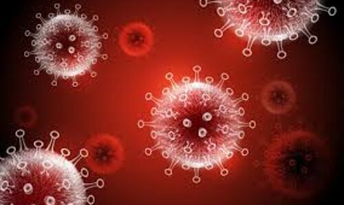 കൊവിഡ് 19: മലപ്പുറം ജില്ലയില്‍ ഇന്ന് 714 പേര്‍ക്ക് രോഗബാധ; 764 പേര്‍ക്ക് രോഗമുക്തി