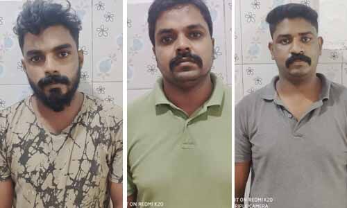 കൊലപാതകശ്രമക്കേസ്സിലെ മൂന്ന് പ്രതികളെ മാള പോലിസ് അറസ്റ്റ് ചെയ്തു. കൊലപാതകശ്രമക്കേസ്സിലെ മൂന്ന് പ്രതികളെ മാള പോലിസ് അറസ്റ്റ് ചെയ്തു.