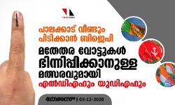 പാലക്കാട് വീണ്ടും പിടിക്കാന്‍ ബിജെപി; മതേതര വോട്ടുകള്‍ ഭിന്നിപ്പിക്കാനുള്ള മത്സരവുമായി എല്‍ഡിഎഫും യുഡിഎഫും