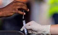 തിരഞ്ഞെടുപ്പ് ഉദ്യോഗസ്ഥര്ക്ക് നിര്ബന്ധിത കൊവിഡ് പരിശോധനയില്ല തിരഞ്ഞെടുപ്പ് ഉദ്യോഗസ്ഥര്ക്ക് നിര്ബന്ധിത കൊവിഡ് പരിശോധനയില്ല