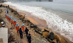 ബുറേവി ചുഴലിക്കാറ്റ്: തമിഴ്നാട്ടില് മരിച്ചവരുടെ എണ്ണം 19 ആയി ബുറേവി ചുഴലിക്കാറ്റ്: തമിഴ്നാട്ടില് മരിച്ചവരുടെ എണ്ണം 19 ആയി