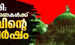 ബാബരി: ദുരന്തസ്മരണകള്‍ക്ക് നോവിന്റെ ഇരുപത്തെട്ടു വര്‍ഷം