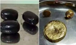 കരിപ്പൂരില് 45 ലക്ഷം രൂപയുടെ സ്വര്ണം പിടികൂടി കരിപ്പൂരില് 45 ലക്ഷം രൂപയുടെ സ്വര്ണം പിടികൂടി