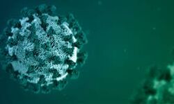 ആലപ്പുഴ ജില്ലയില് ഇന്ന് 272 പേര്ക്ക് കൊവിഡ് ആലപ്പുഴ ജില്ലയില് ഇന്ന് 272 പേര്ക്ക് കൊവിഡ്