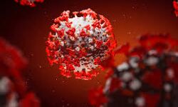 വയനാട്ടില് ഇന്ന് 213 പേര്ക്ക് കൂടി കൊവിഡ്; 80 പേര്ക്ക് രോഗമുക്തി വയനാട്ടില് ഇന്ന് 213 പേര്ക്ക് കൂടി കൊവിഡ്; 80 പേര്ക്ക് രോഗമുക്തി