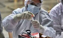 เดคเดฎเดฟเดดเตเดจเดพเดเตเดเดฟเดฒเตโ เดเดจเตเดจเต 1,320 เดชเตเดฐเตโเดเตเดเต เดเตเดเดฟ เดเตเดตเดฟเดกเต; 16 เดฎเดฐเดฃเด เดคเดฎเดฟเดดเตเดจเดพเดเตเดเดฟเดฒเตโ เดเดจเตเดจเต 1,320 เดชเตเดฐเตโเดเตเดเต เดเตเดเดฟ เดเตเดตเดฟเดกเต; 16 เดฎเดฐเดฃเด