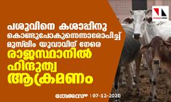പശുവിനെ കശാപ്പിനു കൊണ്ടുപോകുന്നെന്നാരോപിച്ച് മുസ്ലിം യുവാവിന് നേരെ രാജസ്ഥാനിൽ ഹിന്ദുത്വ ആക്രമണം
