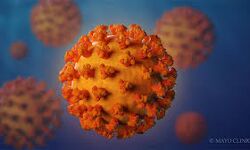 เดตเดฏเดจเดพเดเต เดเดฟเดฒเตเดฒเดฏเดฟเดฒเตโ 284 เดชเตเดฐเตโเดเตเดเต เดเตเดเดฟ เดเตเดตเดฟเดกเต; 125 เดชเตเดฐเตโเดเตเดเต เดฐเตเดเดฎเตเดเตเดคเดฟ เดตเดฏเดจเดพเดเต เดเดฟเดฒเตเดฒเดฏเดฟเดฒเตโ 284 เดชเตเดฐเตโเดเตเดเต เดเตเดเดฟ เดเตเดตเดฟเดกเต; 125 เดชเตเดฐเตโเดเตเดเต เดฐเตเดเดฎเตเดเตเดคเดฟ