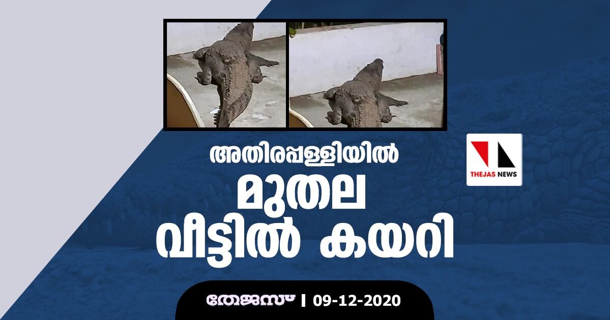 അതിരപ്പള്ളിയില്‍ മുതല വീട്ടില്‍ കയറി