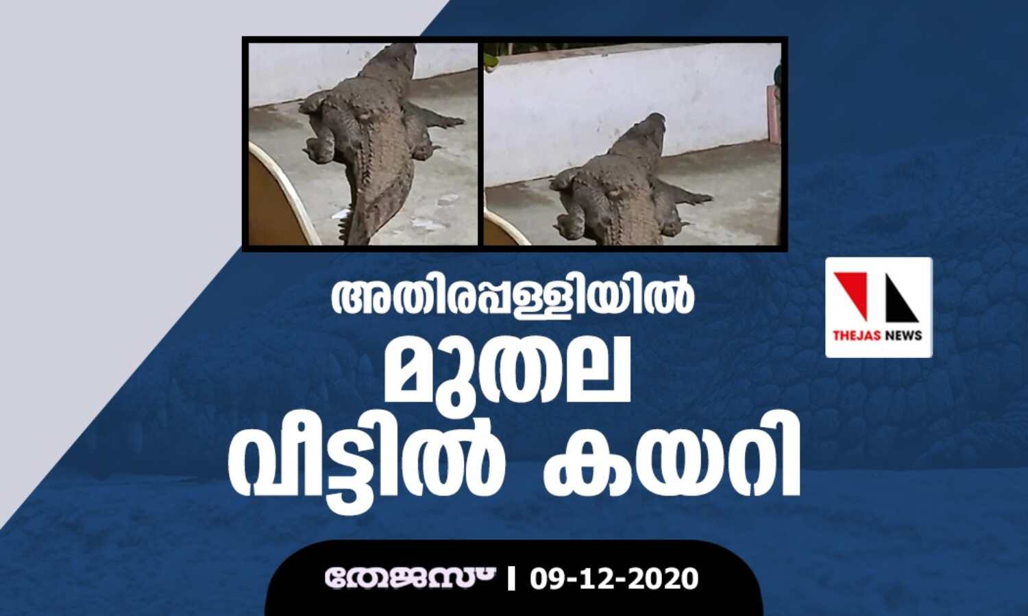 അതിരപ്പള്ളിയില് മുതല വീട്ടില് കയറി അതിരപ്പള്ളിയില് മുതല വീട്ടില് കയറി