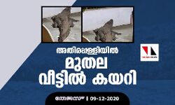 അതിരപ്പള്ളിയില്‍ മുതല വീട്ടില്‍ കയറി