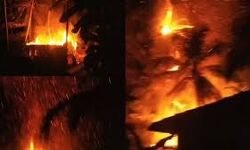 കോഴിക്കോട് നല്ലളത്ത് ഗ്യാസ് സിലിണ്ടര് പൊട്ടിത്തെറിച്ച് വീട് കത്തി നശിച്ചു കോഴിക്കോട് നല്ലളത്ത് ഗ്യാസ് സിലിണ്ടര് പൊട്ടിത്തെറിച്ച് വീട് കത്തി നശിച്ചു