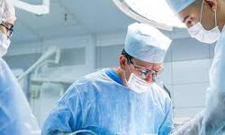 ആയുര്വേദ പിജിക്ക് ശസ്ത്രക്രിയാനുമതി; വെള്ളിയാഴ്ച കെജിഎംസിടിഎ ഒപി ബഹിഷ്കരിക്കും ആയുര്വേദ പിജിക്ക് ശസ്ത്രക്രിയാനുമതി; വെള്ളിയാഴ്ച കെജിഎംസിടിഎ ഒപി ബഹിഷ്കരിക്കും