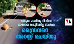 เดเดเตเดจเตเดจ เดเดพเดฑเดฟเดจเต เดชเดฟเดจเตเดจเดฟเดฒเตโ เดจเดพเดฏเดฏเต เดเตเดเตเดเดฟเดตเดฒเดฟเดเตเด เดธเดเดญเดตเด: เดกเตเดฐเตเดตเดฐเตโ เด
เดฑเดธเตเดฑเตเดฑเดฟเดฒเตโ เดเดเตเดจเตเดจ เดเดพเดฑเดฟเดจเต เดชเดฟเดจเตเดจเดฟเดฒเตโ เดจเดพเดฏเดฏเต เดเตเดเตเดเดฟเดตเดฒเดฟเดเตเด เดธเดเดญเดตเด: เดกเตเดฐเตเดตเดฐเตโ เด
เดฑเดธเตเดฑเตเดฑเดฟเดฒเตโ