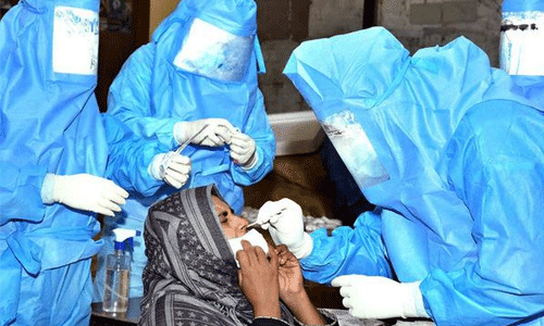 ജില്ലയില് 213 പേര്ക്ക് കൂടി കൊവിഡ്; 139 പേര്ക്ക് രോഗമുക്തി ജില്ലയില് 213 പേര്ക്ക് കൂടി കൊവിഡ്; 139 പേര്ക്ക് രോഗമുക്തി