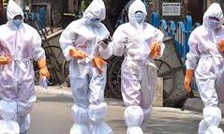 เดเตเดตเดฟเดกเต: เดฐเดพเดเตเดฏเดคเตเดคเต 30,005 เดชเตเดฐเตโเดเตเดเต เดเตเดเดฟ เดฐเตเดเด เดธเตเดฅเดฟเดฐเตเดเดฐเดฟเดเตเดเต; 33,494 เดชเตเดฐเตโเดเตเดเต เดฐเตเดเดฎเตเดเตเดคเดฟ เดเตเดตเดฟเดกเต: เดฐเดพเดเตเดฏเดคเตเดคเต 30,005 เดชเตเดฐเตโเดเตเดเต เดเตเดเดฟ เดฐเตเดเด เดธเตเดฅเดฟเดฐเตเดเดฐเดฟเดเตเดเต; 33,494 เดชเตเดฐเตโเดเตเดเต เดฐเตเดเดฎเตเดเตเดคเดฟ