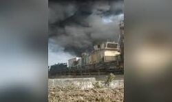 เดฎเดฐเตเดจเตเดจเต เดจเดฟเดฐเตโเดฎเดพเดฃเดถเดพเดฒเดฏเดฟเดฒเตโ เดธเตโเดซเตเดเดจเด; เดเดดเต เดชเตเดฐเตโเดเตเดเต เดชเดฐเดฟเดเตเดเต เดฎเดฐเตเดจเตเดจเต เดจเดฟเดฐเตโเดฎเดพเดฃเดถเดพเดฒเดฏเดฟเดฒเตโ เดธเตโเดซเตเดเดจเด; เดเดดเต เดชเตเดฐเตโเดเตเดเต เดชเดฐเดฟเดเตเดเต