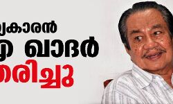 സാഹിത്യകാരൻ യുഎ ഖാദര്‍ അന്തരിച്ചു