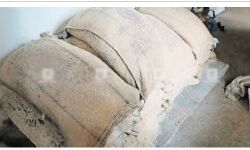 എട്ടു മാസത്തോളമായി സൂക്ഷിച്ചുവച്ച അരി പുഴുവരിച്ചതായി പരാതി: പ്രതിഷേധവുമായി യുഡിഎഫ്